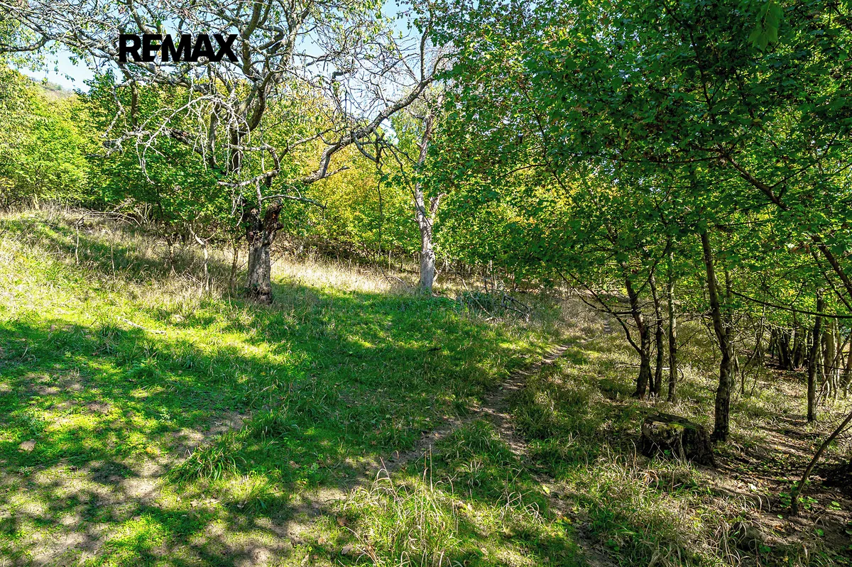 Prodej lesa 1765 m²